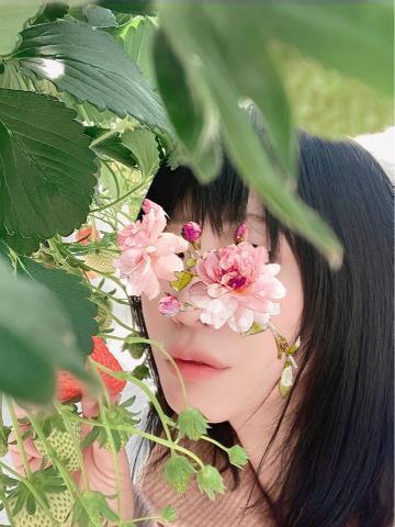 1枚目