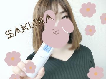 1枚目