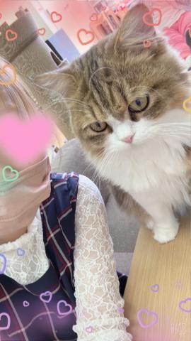 1枚目