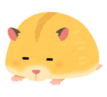 1枚目