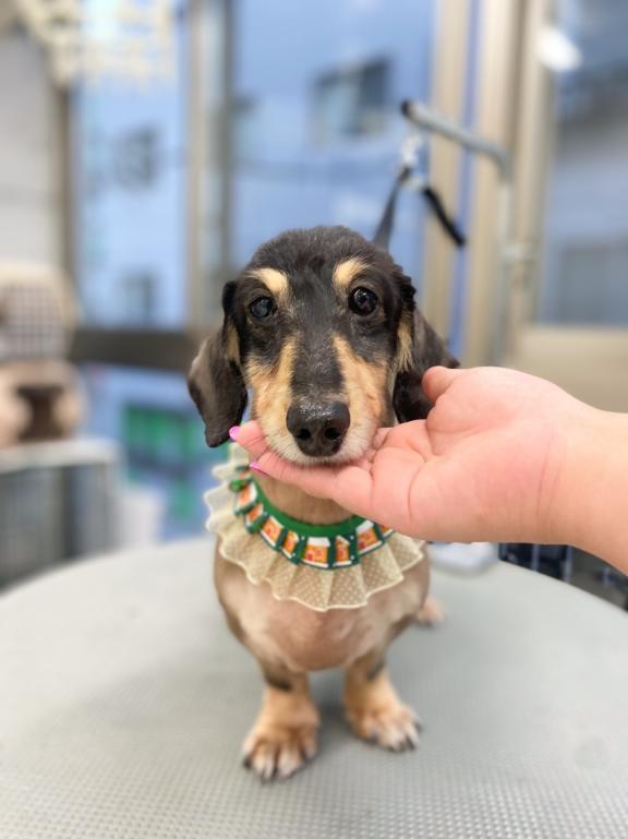 動物病院☆