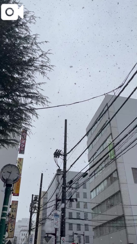 雪ですね❄️