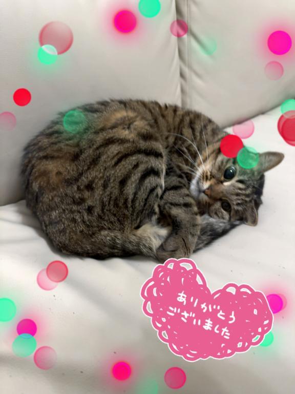 ⭐︎1/15のお礼⭐︎