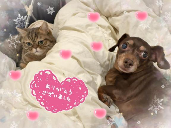 ⭐︎1/10のお礼⭐︎