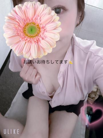1枚目