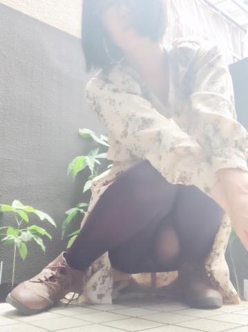 1枚目