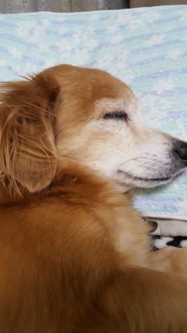 1枚目