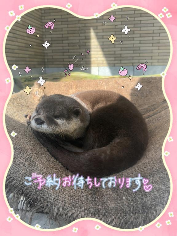 ⭐︎出勤します⭐︎